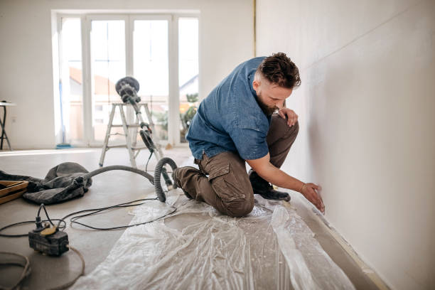 Best Ceiling Drywall Installation  in West Baraboo, WI